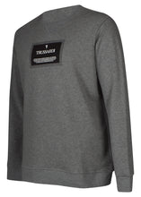 Trusardi- Crewneck Sweatshirt Box Logo Trussardi Badge - 100332 - Grey